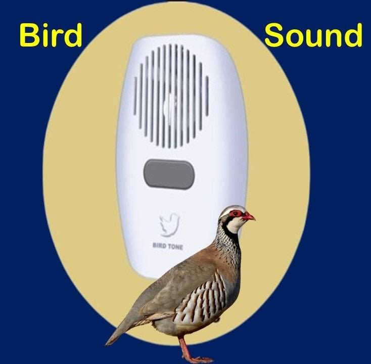 Door Bell wired 220 volts, Bird Sound, Copper Coil - Japan Electronics